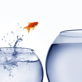 the ceo magazine, change management,